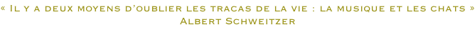 «&nbsp;Il y a deux moyens d’oublier les tracas de la vie : la musique et les chats&nbsp;» Albert Schweitzer